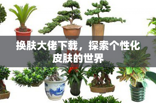 探索个性化皮肤的世界图片