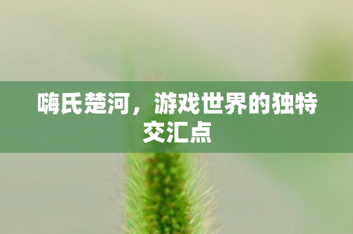 游戏世界的独特交汇点图片