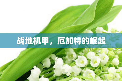 厄加特的崛起图片