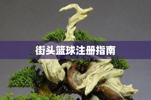 街头篮球注册指南图片