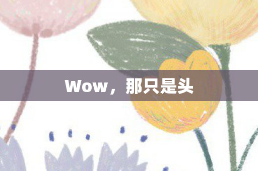 那只是头图片