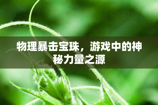 游戏中的神秘力量之源图片