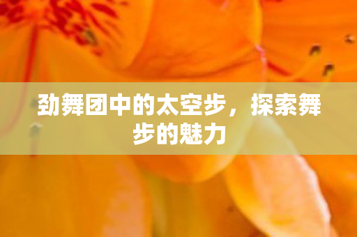 劲舞团中的太空步图片