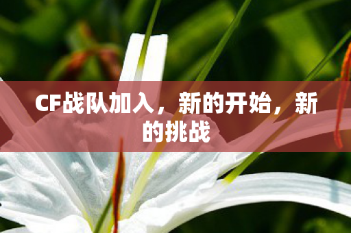 CF战队加入图片