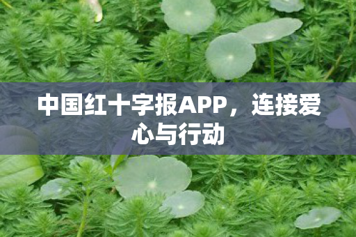 中国红十字报APP图片