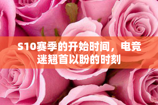 S10赛季的开始时间图片