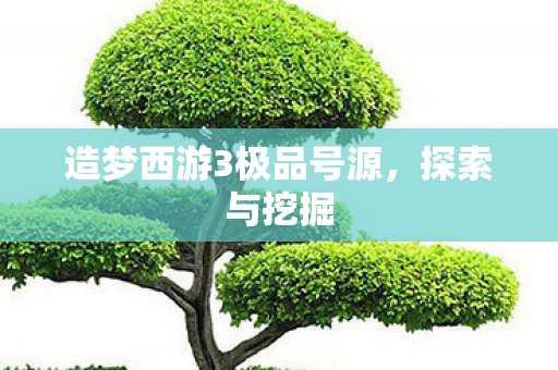 造梦西游3极品号源图片
