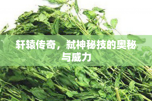 弑神秘技的奥秘与威力图片