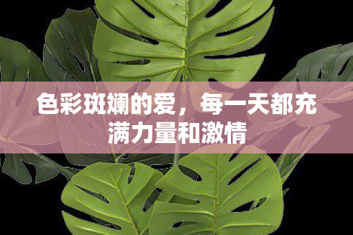 每一天都充满力量和激情图片