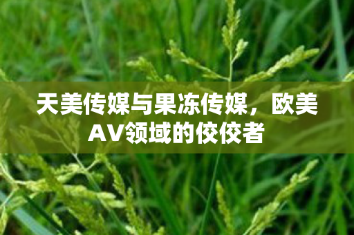 欧美AV领域的佼佼者图片