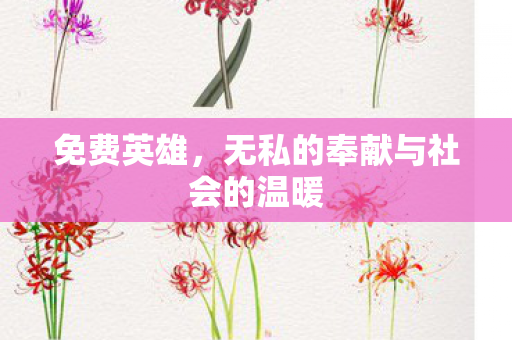 无私的奉献与社会的温暖图片