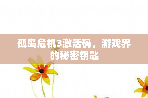 孤岛危机3激活码图片