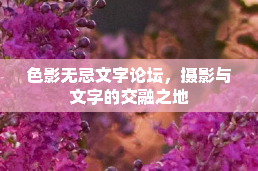 摄影与文字的交融之地图片