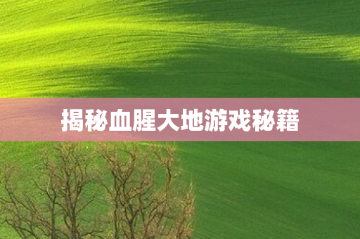 揭秘血腥大地游戏秘籍图片