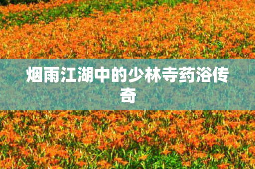 烟雨江湖中的少林寺药浴传奇图片