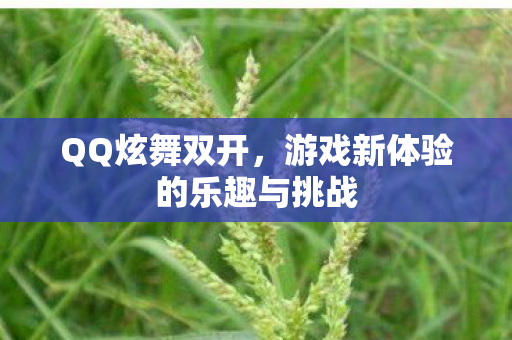 游戏新体验的乐趣与挑战图片