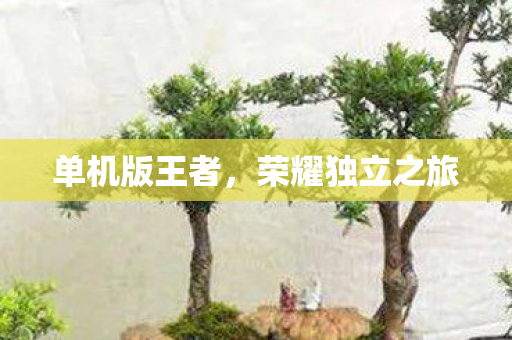 荣耀独立之旅图片