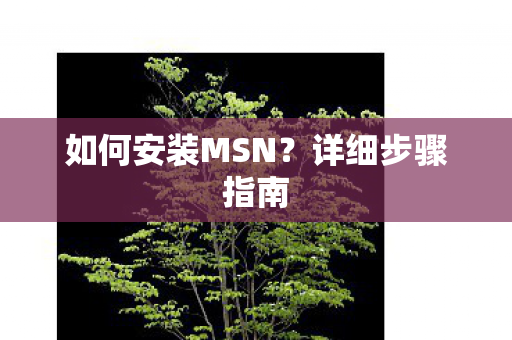 如何安装MSN图片