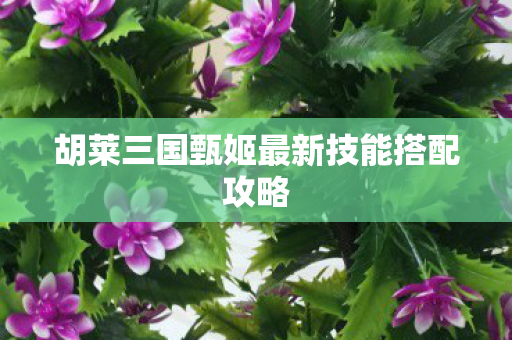 胡莱三国甄姬最新技能搭配攻略图片