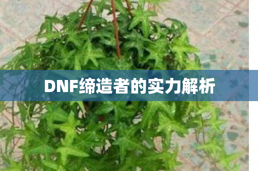 DNF缔造者的实力解析图片