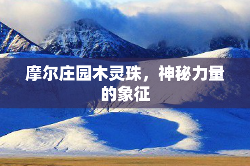 摩尔庄园木灵珠图片