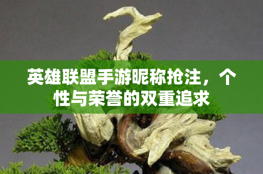 英雄联盟手游昵称抢注图片
