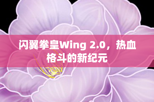 闪翼拳皇Wing 2图片