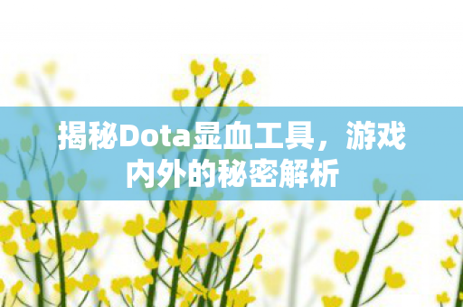 揭秘Dota显血工具图片