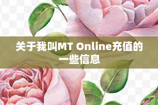 关于我叫MT Online充值的一些信息图片