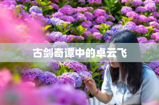 古剑奇谭中的卓云飞图片
