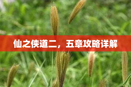 五章攻略详解图片