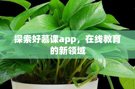 探索好慕课app图片