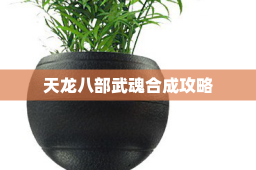 天龙八部武魂合成攻略图片