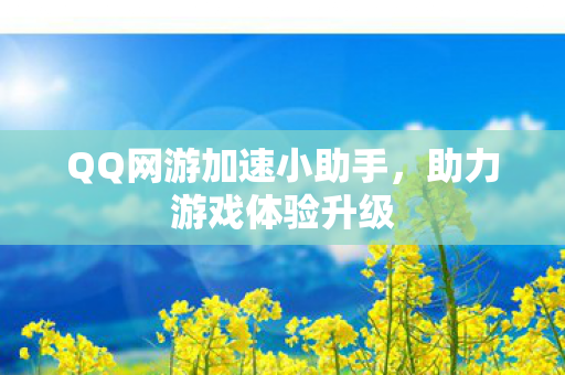 QQ网游加速小助手图片