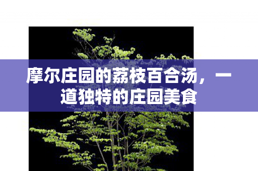 摩尔庄园的荔枝百合汤图片