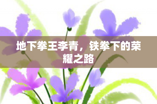 铁拳下的荣耀之路图片