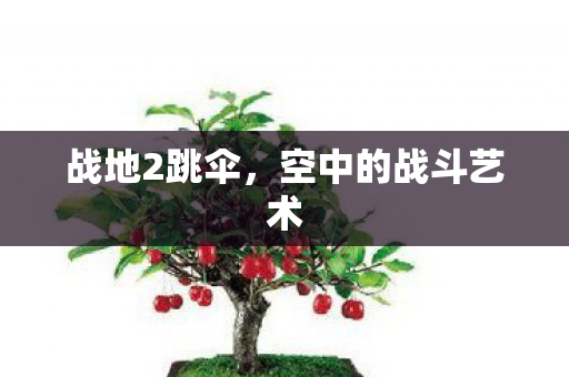 空中的战斗艺术图片