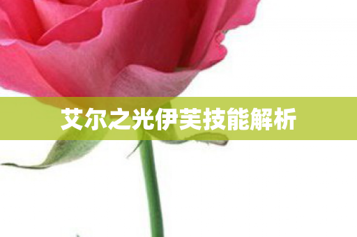 艾尔之光伊芙技能解析图片