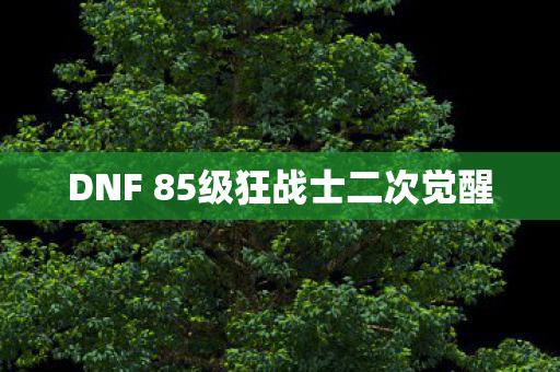 DNF 85级狂战士二次觉醒图片