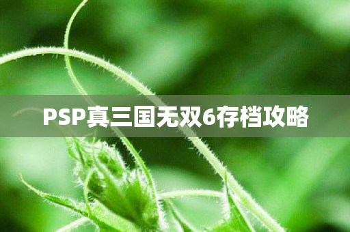 PSP真三国无双6存档攻略图片