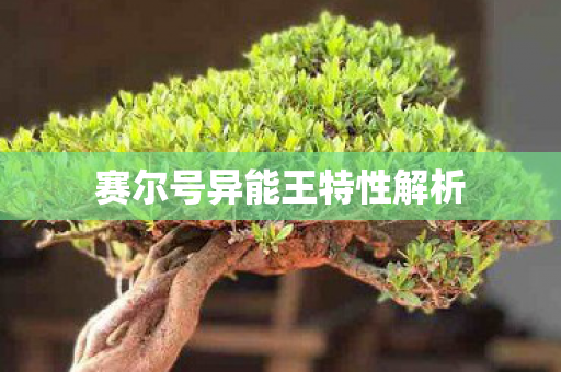 赛尔号异能王特性解析图片