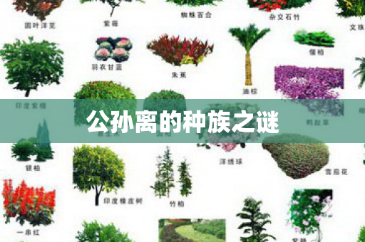 公孙离的种族之谜图片