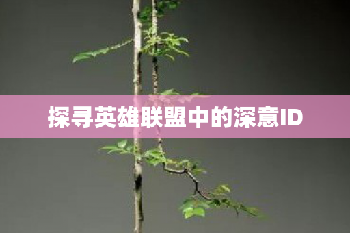 探寻英雄联盟中的深意ID图片