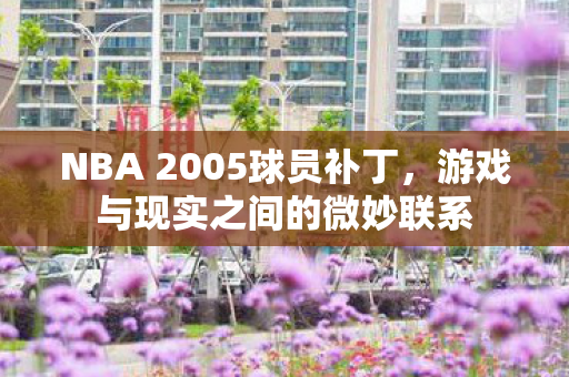 NBA 2005球员补丁图片
