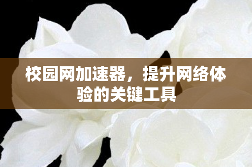 提升网络体验的关键工具图片