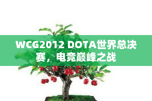 WCG2012 DOTA世界总决赛图片
