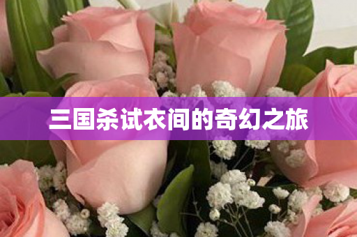 三国杀试衣间的奇幻之旅图片
