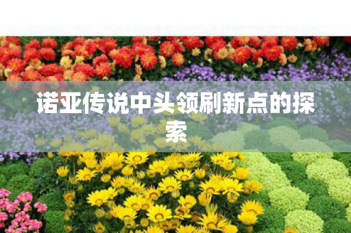 诺亚传说中头领刷新点的探索图片