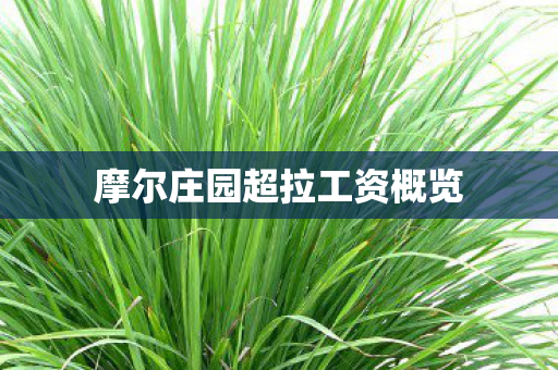 摩尔庄园超拉工资概览图片