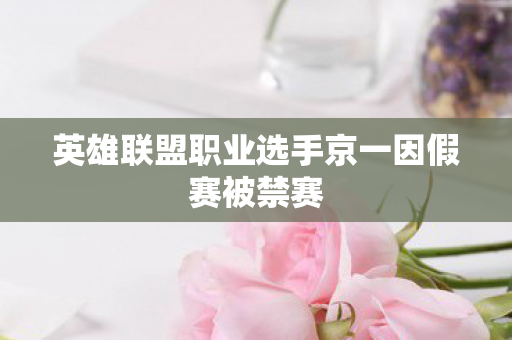 英雄联盟职业选手京一因假赛被禁赛图片